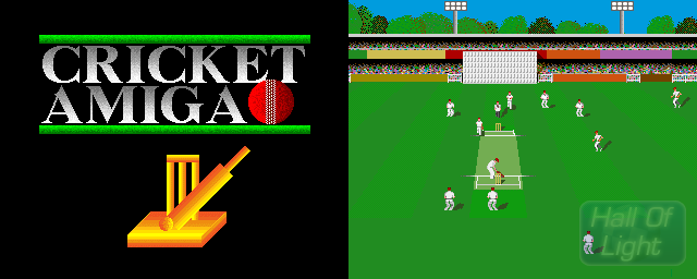 Cricket Amiga - Double Barrel Screenshot
