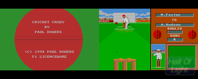 Cricket Crazy - Double Barrel Screenshot